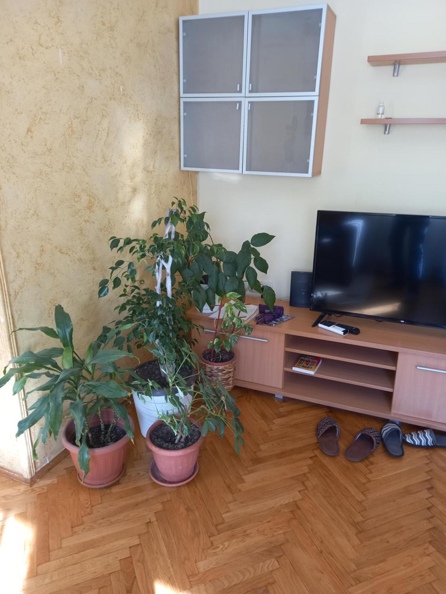 Leda Apartmani Смедерево Экстерьер фото